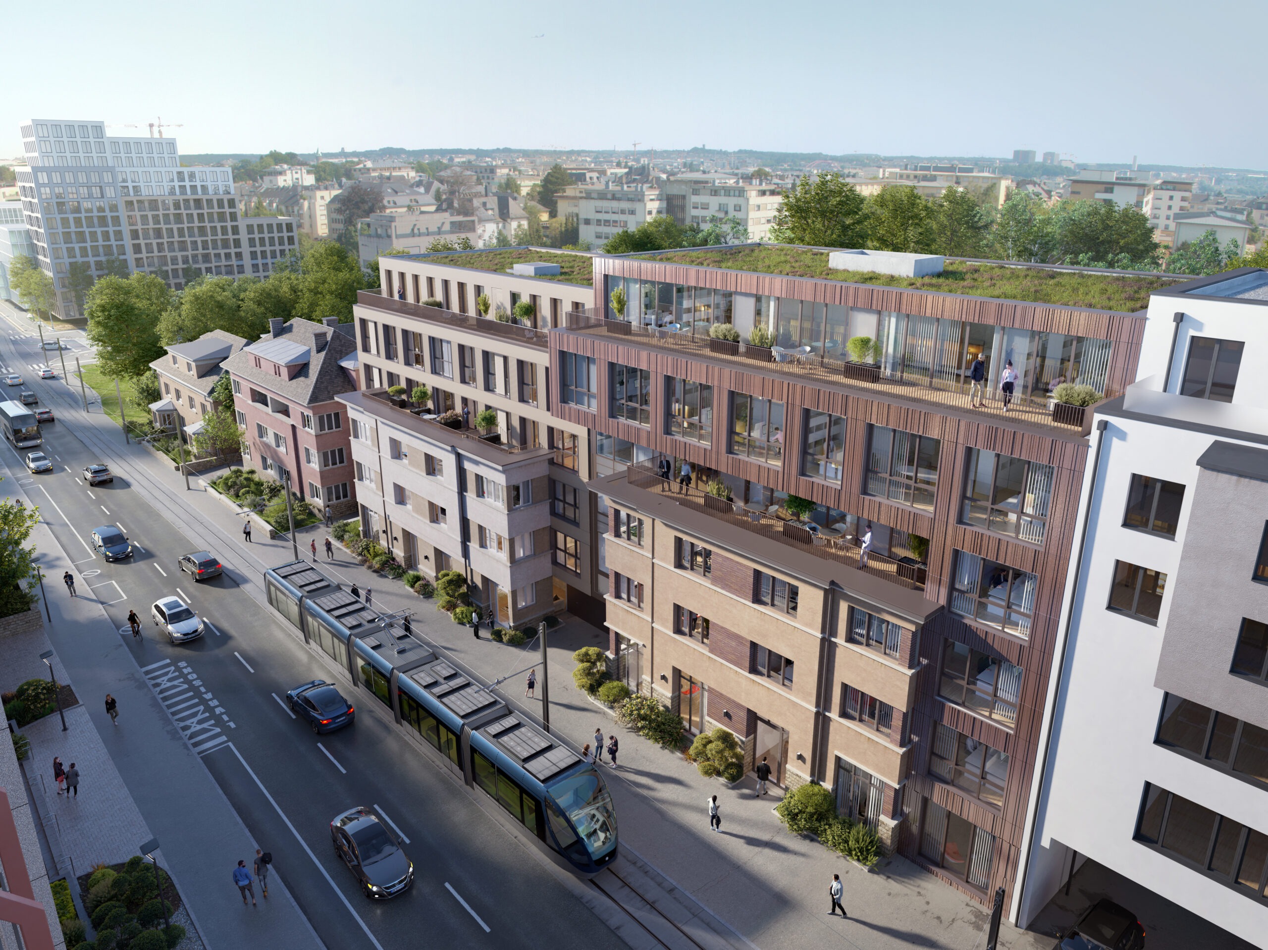 25017A_250307_TK_dB0002